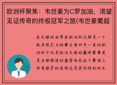 欧洲杯聚焦：韦世豪为C罗加油，渴望见证传奇的终极冠军之旅(韦世豪葡超集锦)