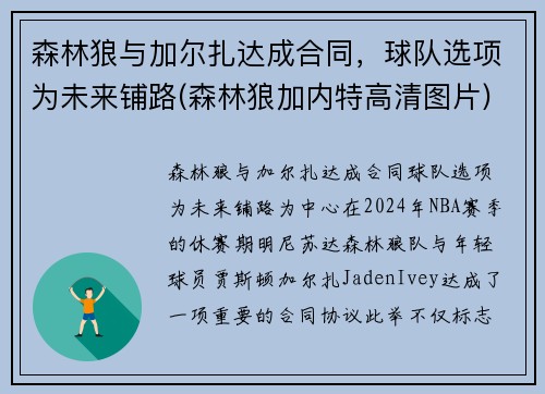 森林狼与加尔扎达成合同，球队选项为未来铺路(森林狼加内特高清图片)