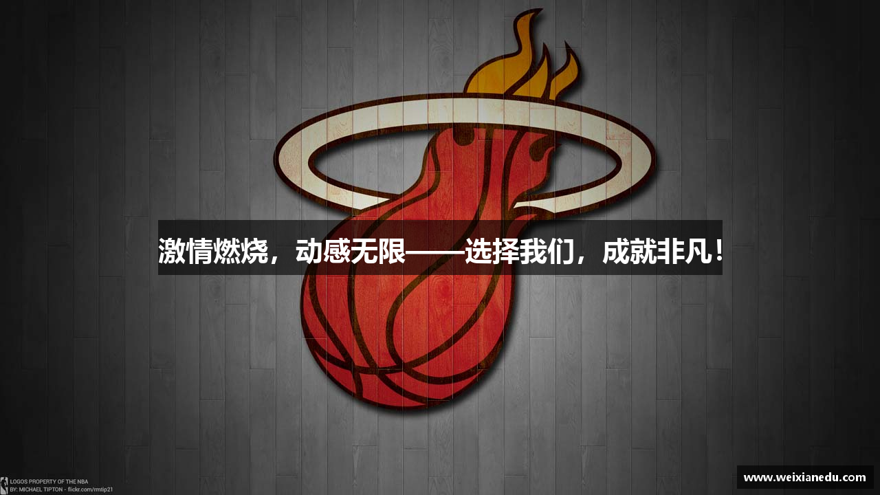 Mksport体育app官网入口